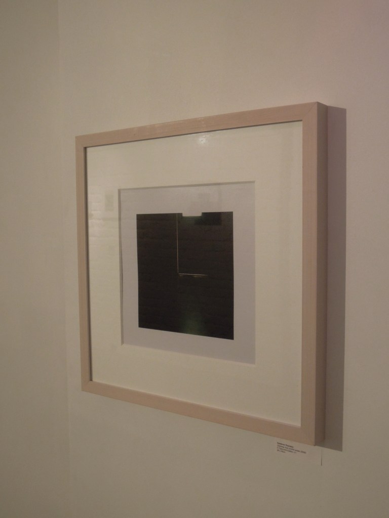 La Petite Muerte, Drawers Gallery, exhibition, london, day of the dead, xvi artist collective