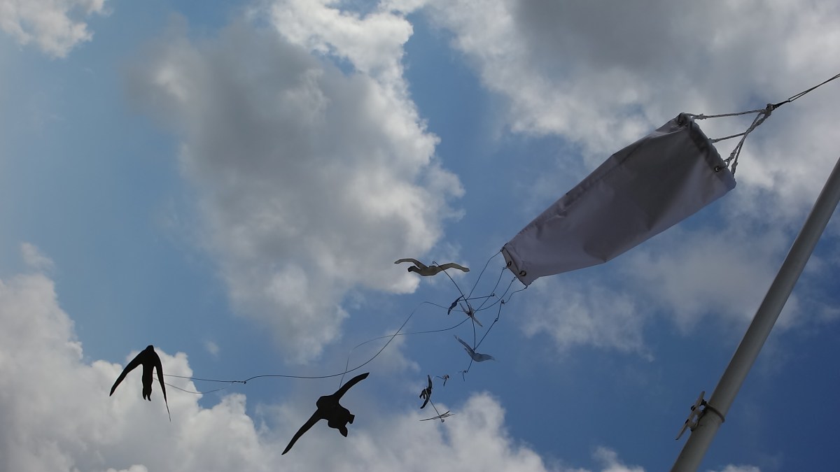 Jane Oldfield, Flying People